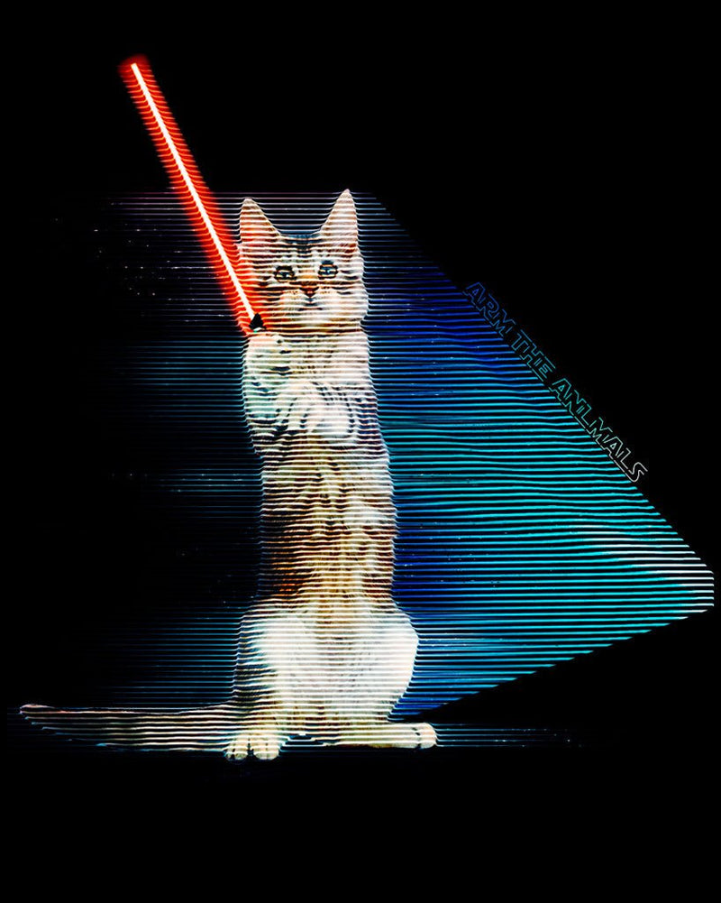 Load image into Gallery viewer, Unisex | Hologram Battle Cat | Hoodie - Arm The Animals Clothing Co.
