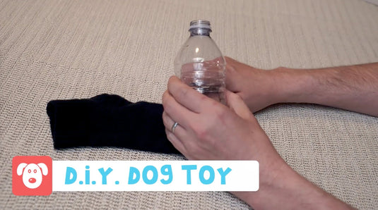 11 AMAZING Dog Hacks from Household Hacker! - Arm The Animals Clothing LLC