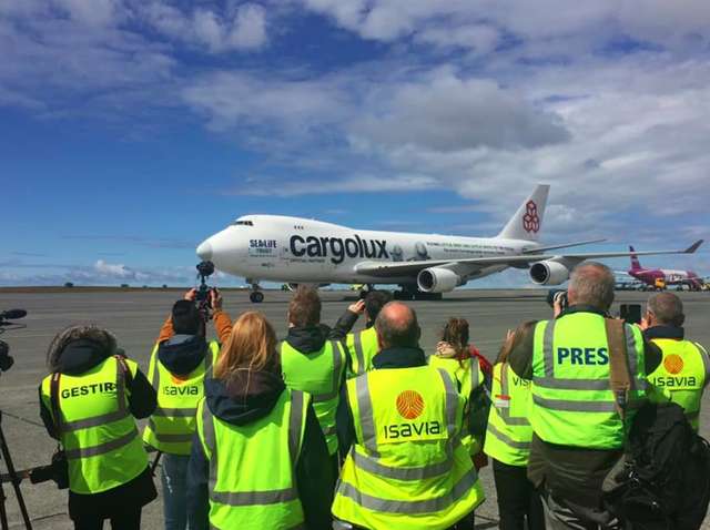 Captive Belugas Take Plane Ride To The Most Amazing Surprise