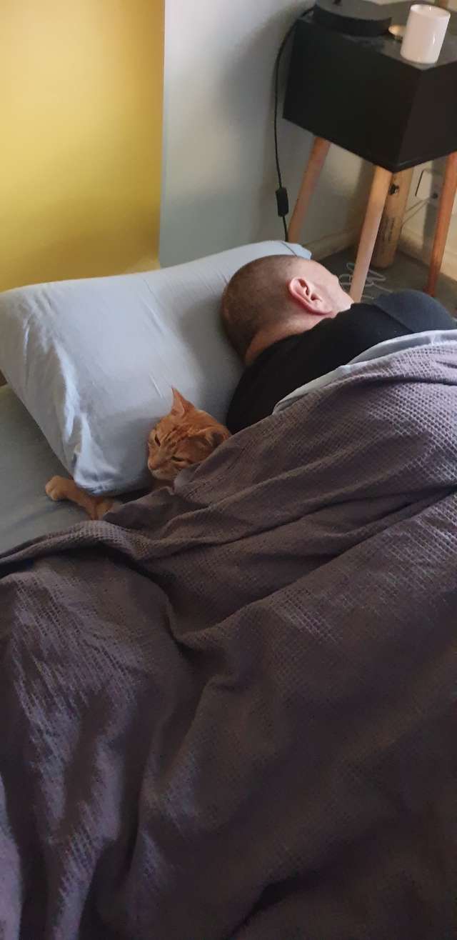Cat Sneaks Over To His Neighbors' House Every Night For Sleepovers - Arm The Animals Clothing LLC