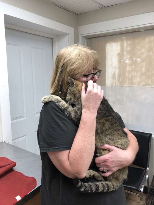 Cat Who Was Lost For 11 Years Finally Reunites With Mom