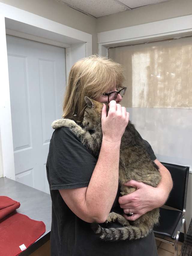 Cat Who Was Lost For 11 Years Finally Reunites With Mom - Arm The Animals Clothing LLC