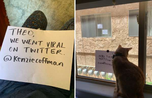 Cats See Each Other Through Window And Fall In Love - Arm The Animals Clothing LLC