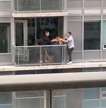 Fearless Man Risks His Life To Retrieve Cat Along Side Of Building - Arm The Animals Clothing LLC