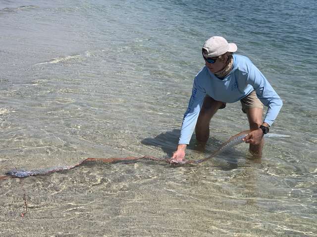 Fisherman Finds Rarest Sea Creature On Beach And Does Something Totally Unexpected