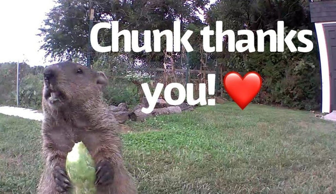 Gardener Falls In Love With The Thief Who's Been Stealing His Vegetables