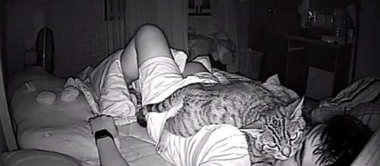 Guy Sets Up Hidden Camera To See What His Cat Does While He's Sleeping - Arm The Animals Clothing LLC