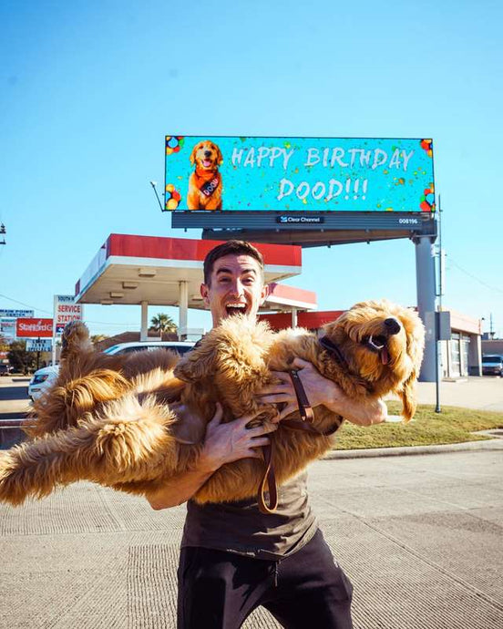 Man Rents Billboard So Everyone Will Know It’s His Dog’s Birthday