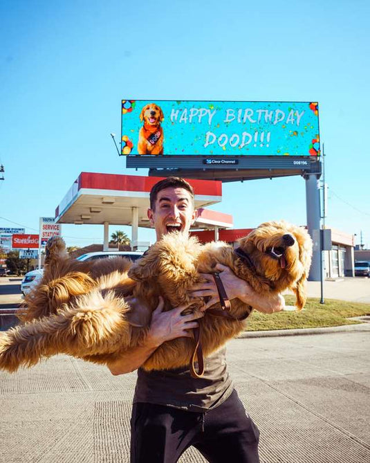 Man Rents Billboard So Everyone Will Know It’s His Dog’s Birthday - Arm The Animals Clothing LLC