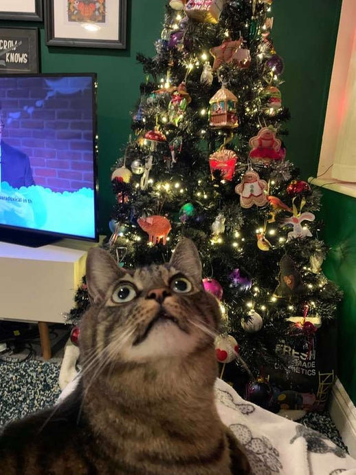 People Are Having The Best Time Trying To Find The Cat In This Christmas Tree
