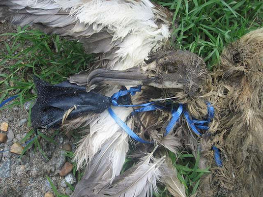 People See Balloons Being Released And Have Exact Right Reaction - Arm The Animals Clothing LLC