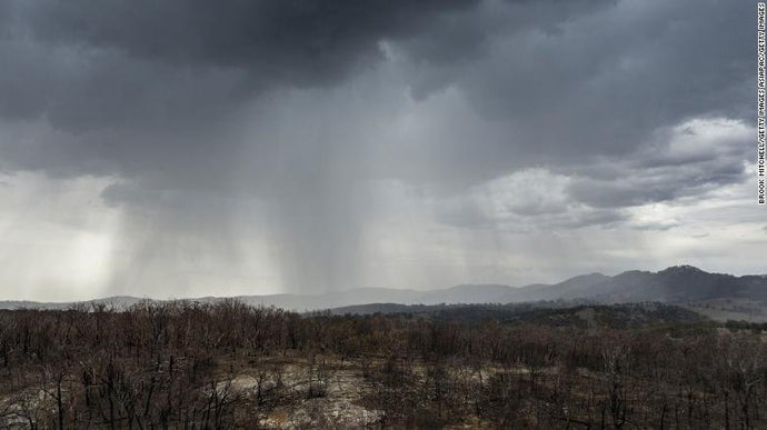 Rain and hail pelt fire-ravaged Australian states, bringing new risks -- and potential relief