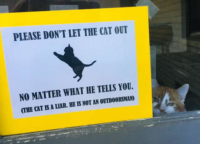 Sneaky Cat Has Tried To Escape So Many Times His Parents Put Up A Sign