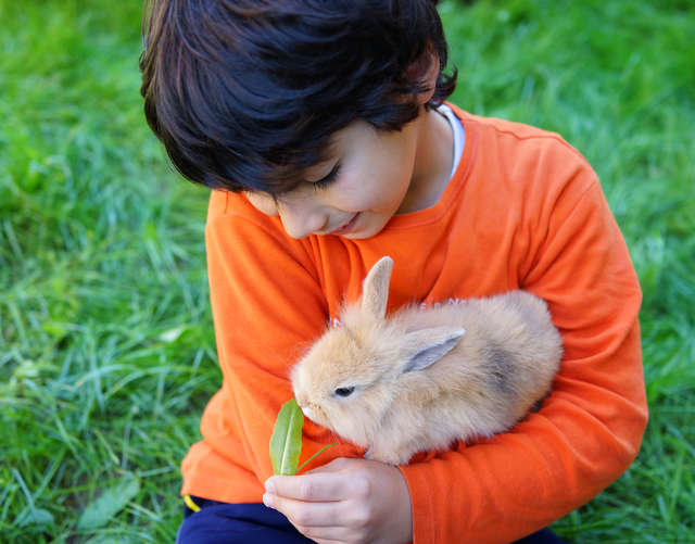 Why Do Kids Love Animals So Much?