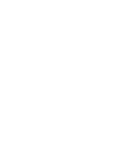 Arm The Animals Clothing LLC