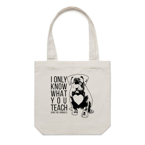 Accessory | What You Teach | Canvas Tote
