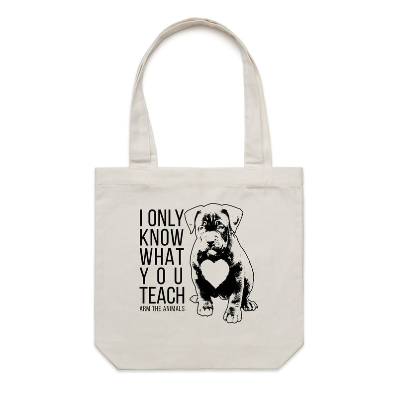 Accessory | What You Teach | Canvas Tote