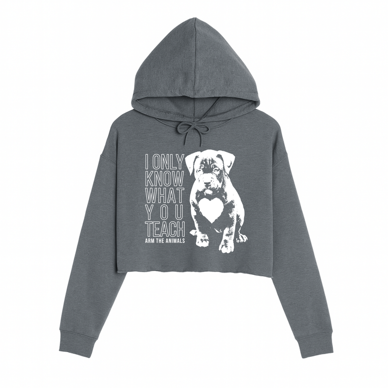 Load image into Gallery viewer, Women&#39;s | What You Teach | Crop Hoodie - Arm The Animals Clothing LLC
