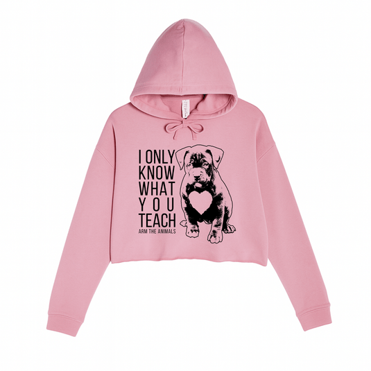 Women's | What You Teach | Crop Hoodie - Arm The Animals Clothing LLC
