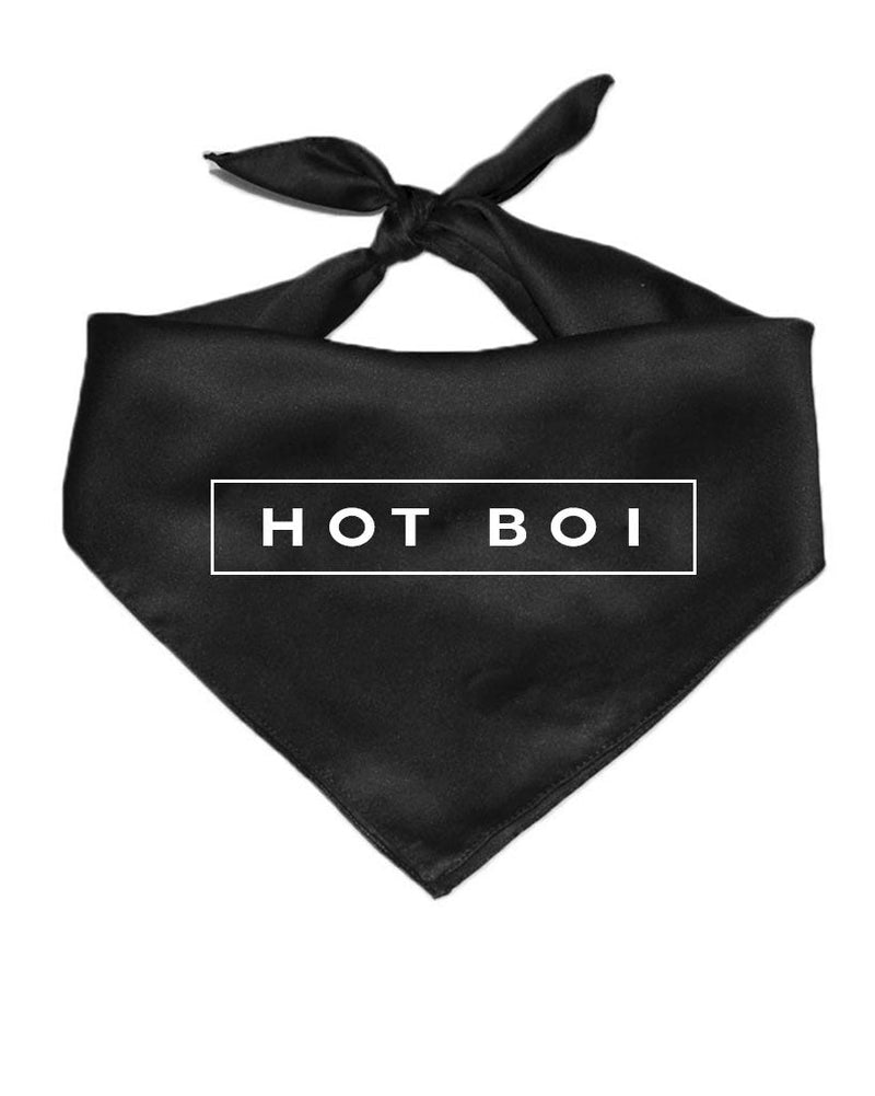 Load image into Gallery viewer, Pet | Hot Boi | Bandana - Arm The Animals Clothing Co.
