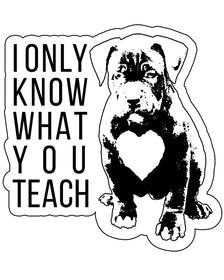 Stickers | What You Teach Pittie | Die Cut Sticker - Arm The Animals Clothing Co.