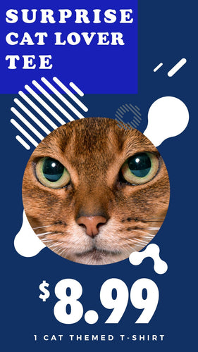 Unisex | Cat Lovers | Surprise Tee - Arm The Animals Clothing LLC