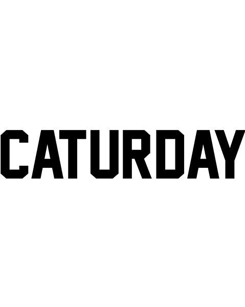 Unisex | Caturday | Hoodie - Arm The Animals Clothing Co.