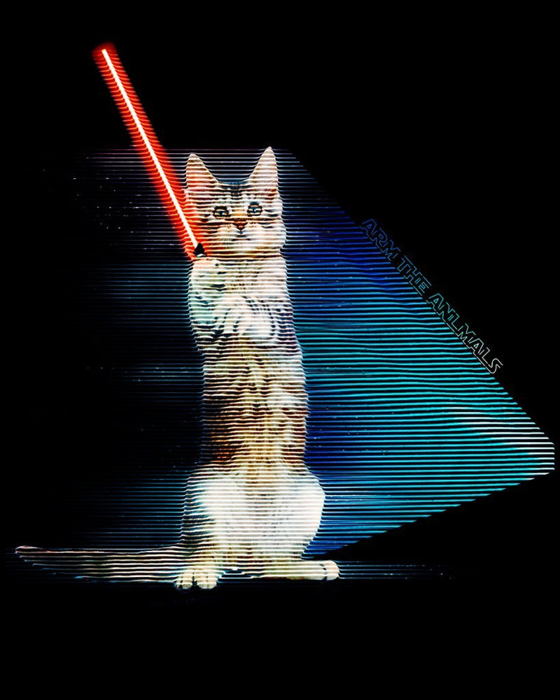 Load image into Gallery viewer, Unisex | Hologram Battle Cat | Crewneck Sweatshirt - Arm The Animals Clothing Co.
