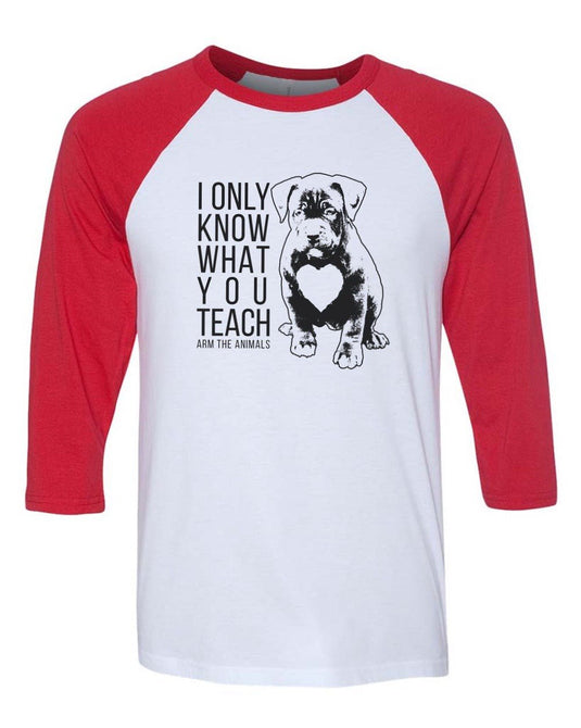 Unisex | What You Teach Pittie | 3/4 Sleeve Raglan - Arm The Animals Clothing Co.