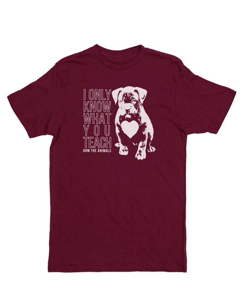 Load image into Gallery viewer, Unisex | What You Teach Pittie | Crew - Arm The Animals Clothing Co.
