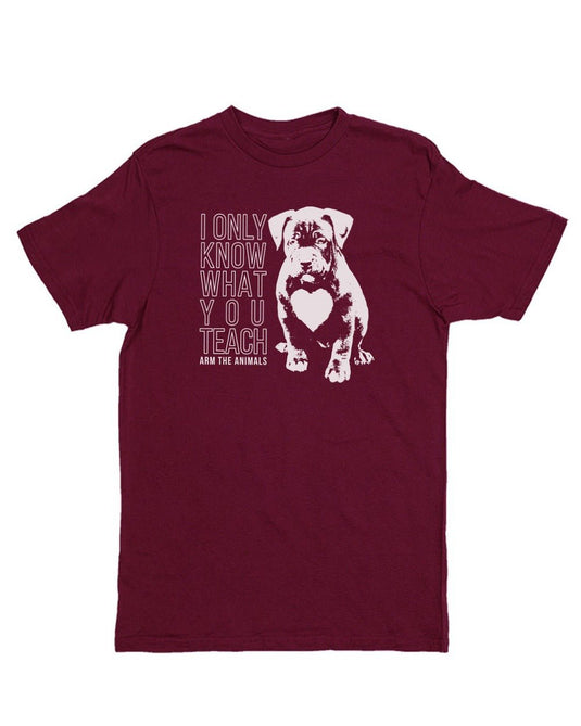 Unisex | What You Teach Pittie | Crew - Arm The Animals Clothing Co.