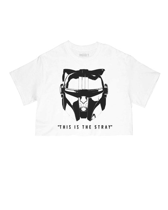 Women's | This Is The Stray | Cut Tee - Arm The Animals Clothing Co.